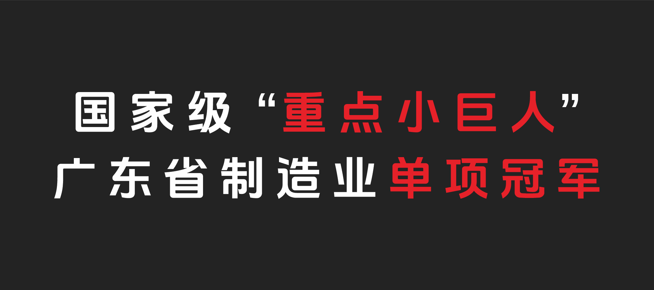國家級“重點小巨人”企業